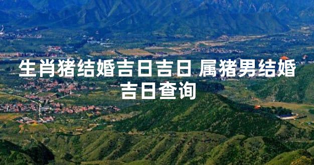 生肖猪结婚吉日吉日 属猪男结婚吉日查询